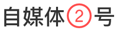 大媒体